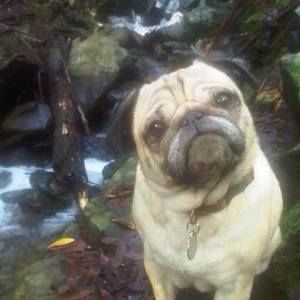 Meet your Posher, Kara